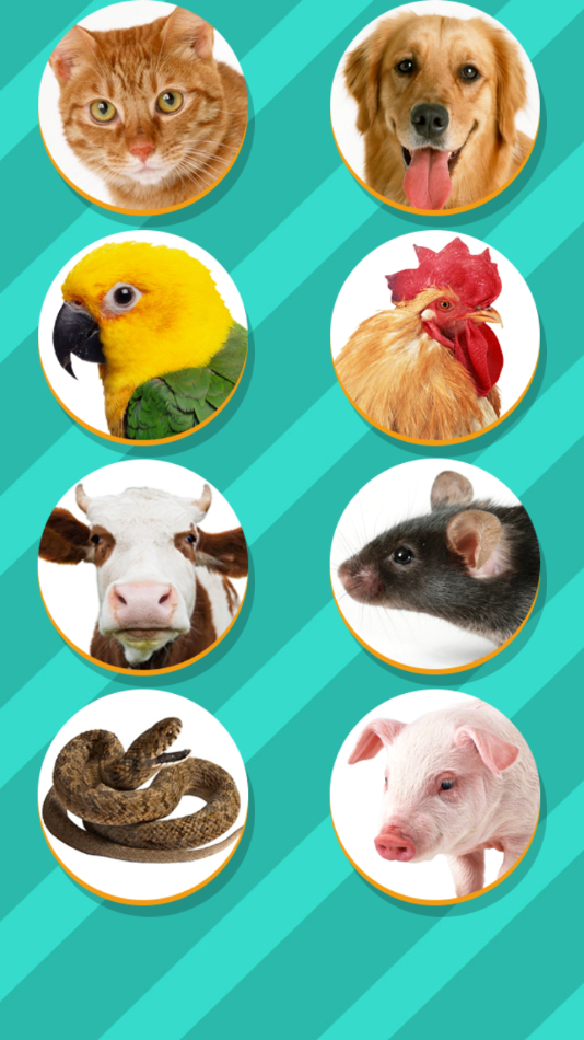 Pet Translator下载