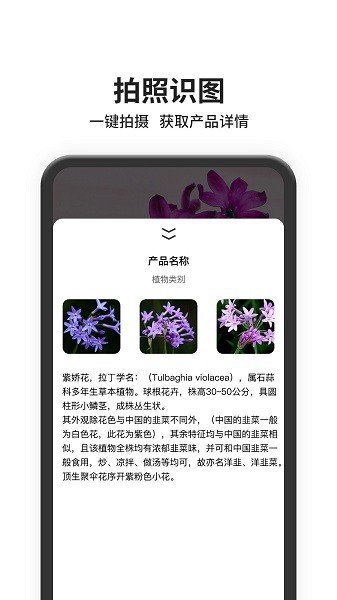 图片搜索app 图片搜索app下载