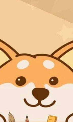 小猫捉迷藏 小猫捉迷藏游戏