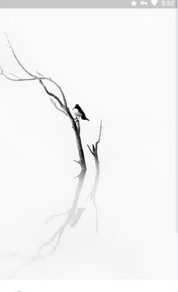 Walldrobe Walldrobe壁纸下载