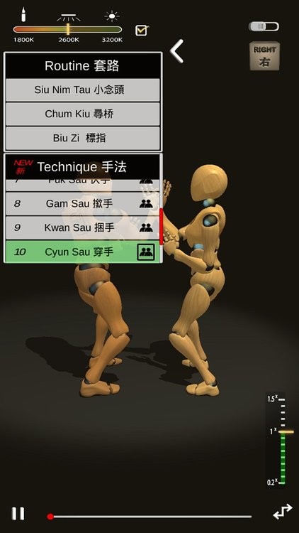 咏春拳法 咏春拳法