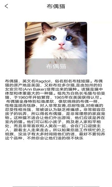 贝贝宠物百科手机版 贝贝宠物百科app下载