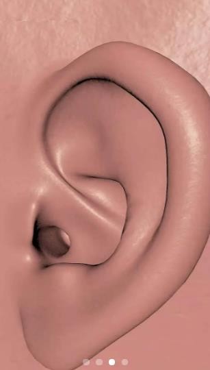 我耳朵贼爽游戏