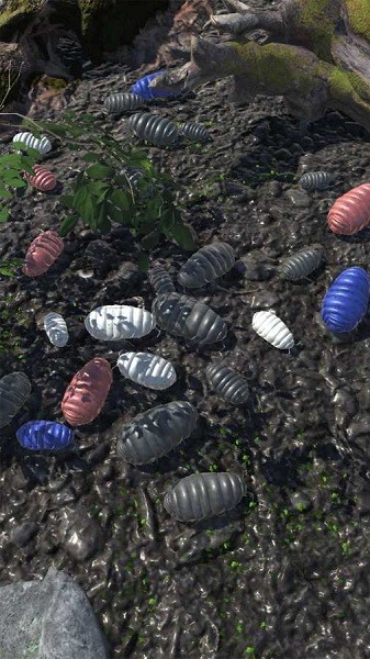 圆滚滚朋友RolyPoly 圆滚滚朋友RolyPoly下载