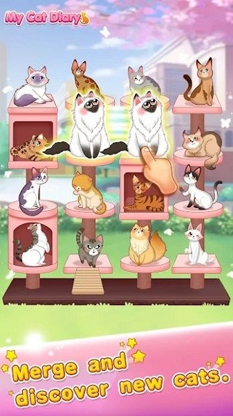 猫咪日记动漫公主换装下载