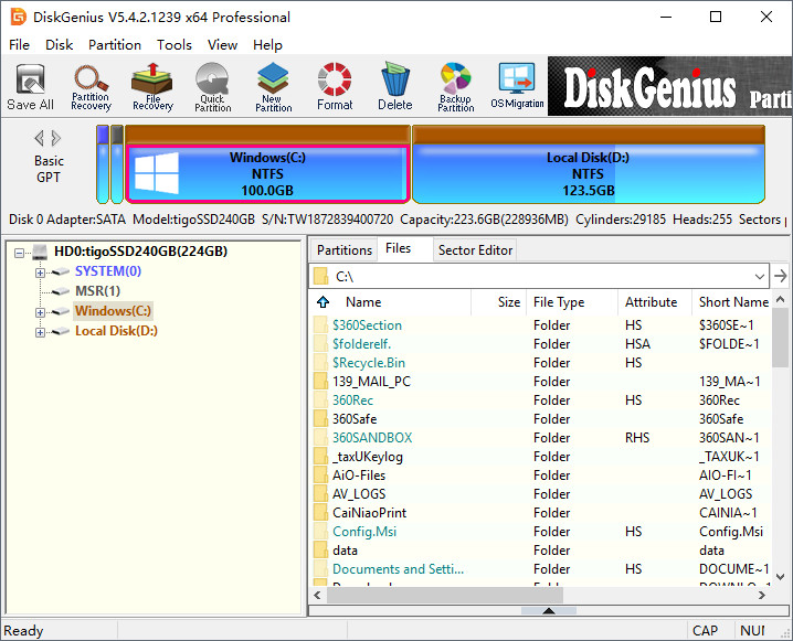 DiskGenius海外版下载