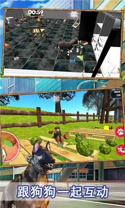 狗狗大冒险闯关 狗狗大冒险闯关游戏