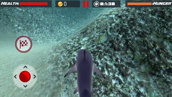 模拟食人鱼游戏