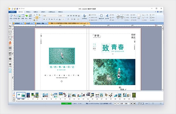 金印客DPS软件下载