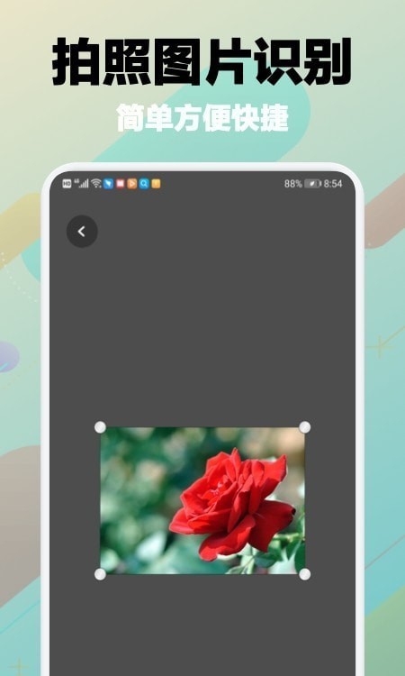 树林记忆 树林记忆app