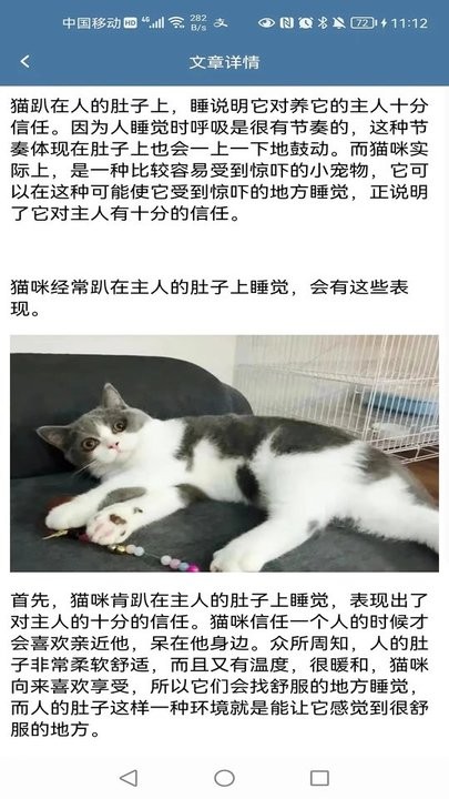 甜饭养猫软件下载
