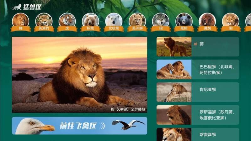 探奇动物界tv版