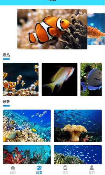 钓鱼达人手机版