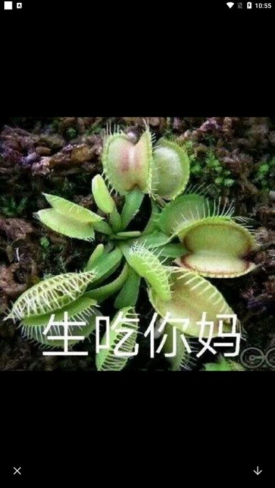 emoji表情包APP emoji表情包APP