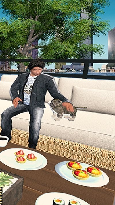 虚拟宠物猫的冒险游戏