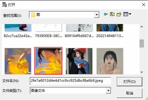 r2v图片转cad软件