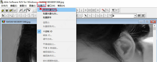 r2v图片转cad软件