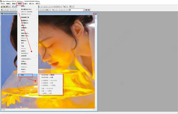 r2v图片转cad软件