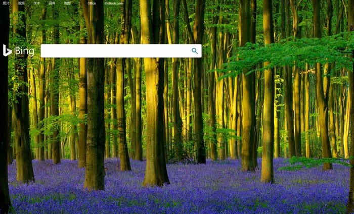 微软Bing Wallpaper软件