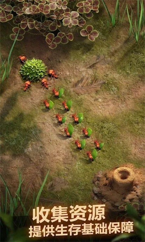 荒野蚂蚁模拟器