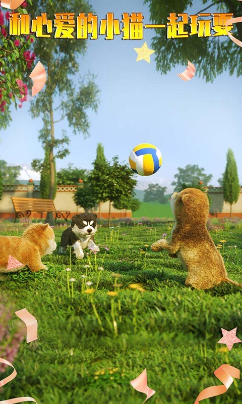 寻找喵星人游戏下载