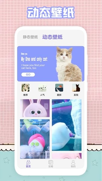 我的猫咪app下载 我的猫咪app