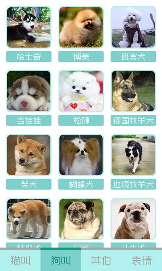 猫叫声狗叫声模拟 猫叫声狗叫声模拟下载