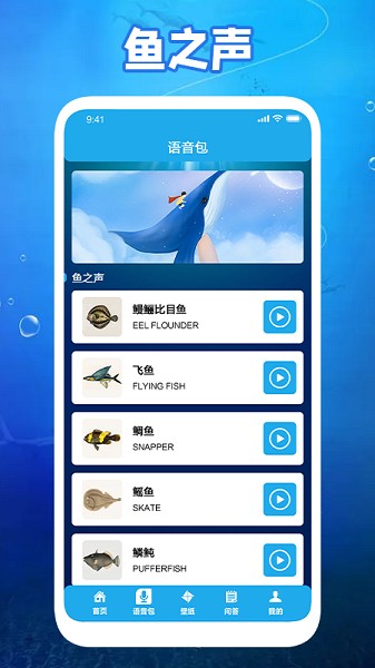 养鱼小高手下载