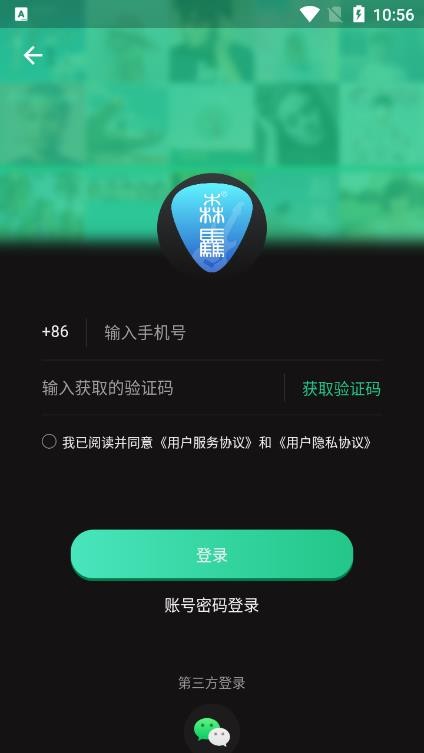 吉他调音器巅峰版 吉他调音器巅峰版下载