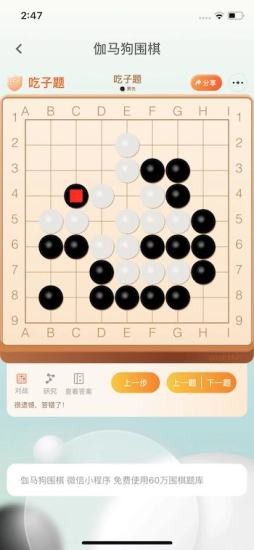 伽马狗围棋下载