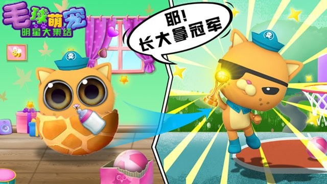 毛球萌宠明星大集结游戏