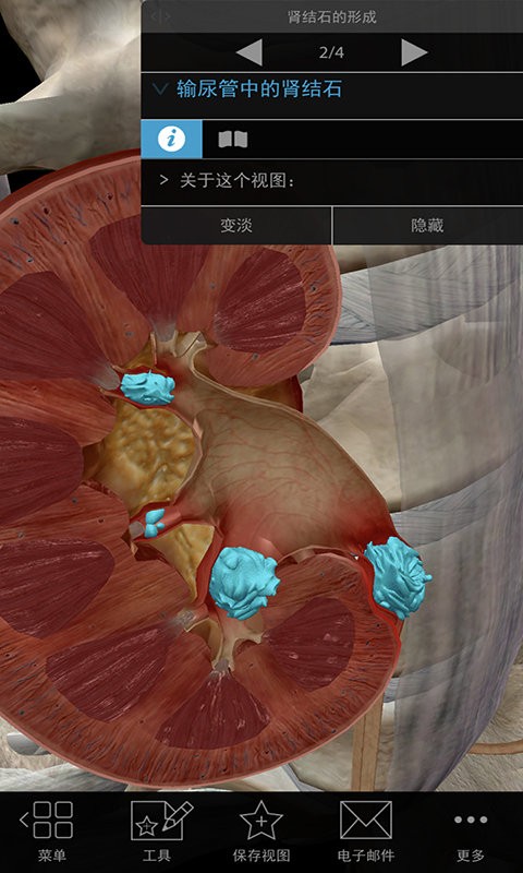 3D生理和病理学app