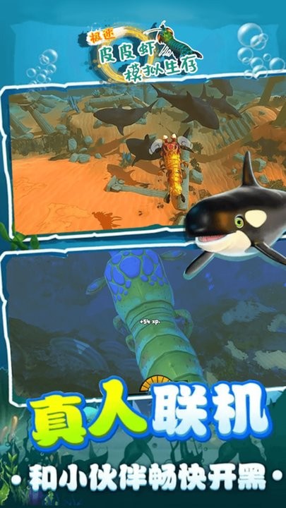 极速皮皮虾生存模拟游戏