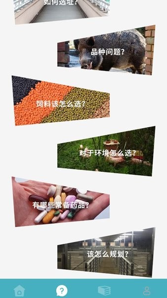 养殖猪猪世界 养殖猪猪世界下载