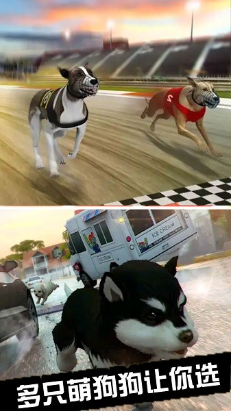 我的萌宠世界下载