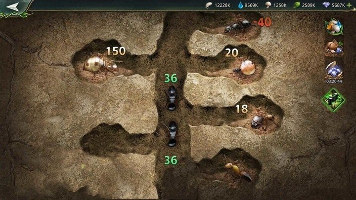 小小蚁窝 小小蚁窝游戏