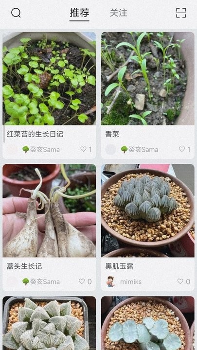 小植物记录软件 小植物记录app下载