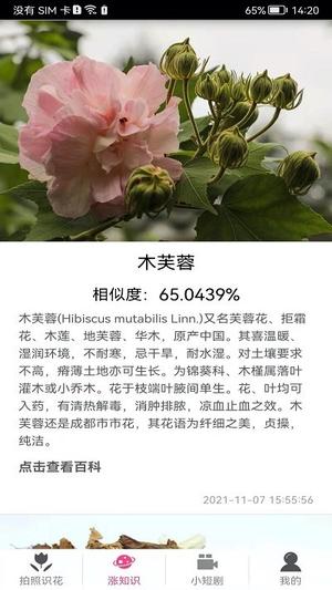 拍照识花神器手机版